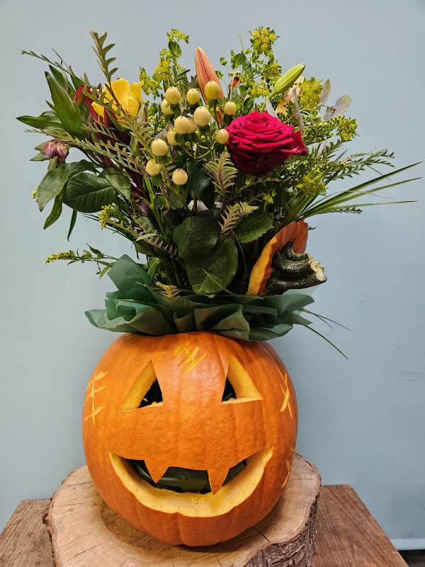 Pumpkin Suprise