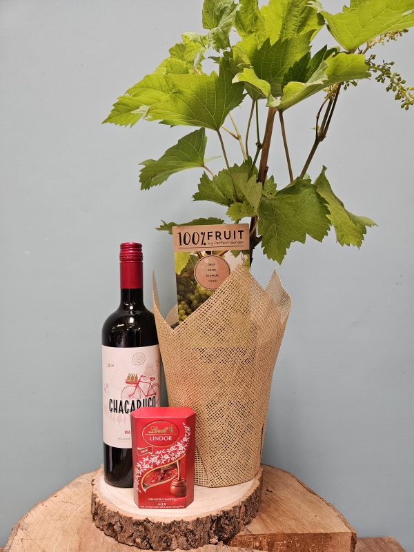 The Wine Lover Gift Set