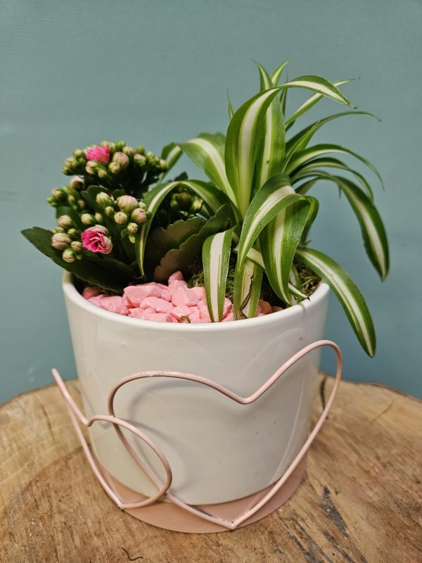 Pretty Indoor Arrangement