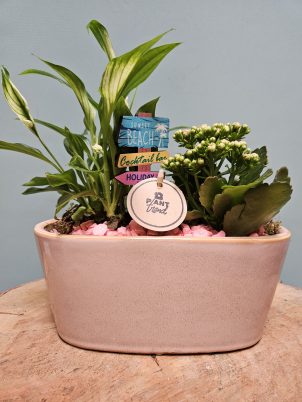 Pretty Indoor Arrangement