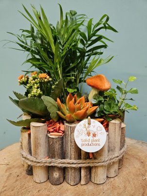 Woodland Walk Indoor Planter