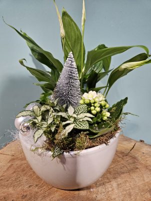 Festive Indoor Planter Arrangement