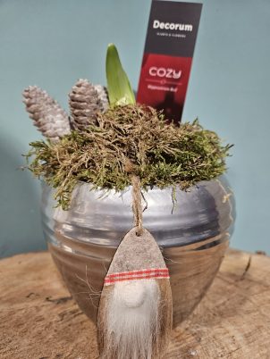 Christmas Amaryllis Bulb Planter