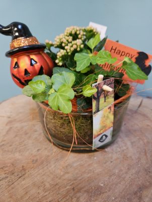 Happy Halloween Planter