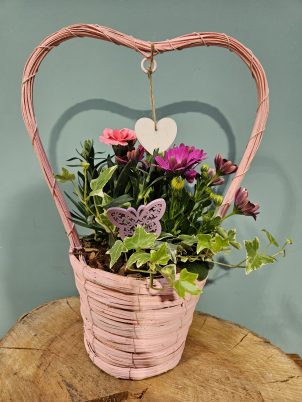Beautiful Basket Arrangement