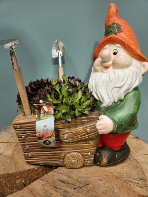 Groovy George the planter Gnome