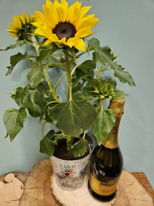 Fun in the Sun Gift Set