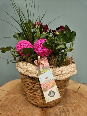 Cute Planter