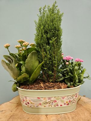 Gorgeous Planter Arrangement