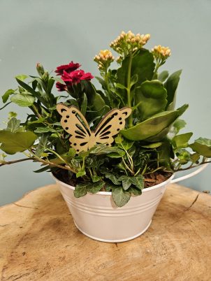 Pretty Planter