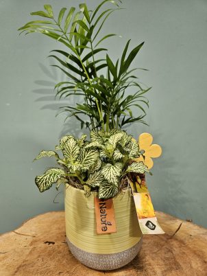 Pretty Indoor Arrangement Pot