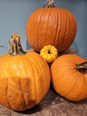 Pumpkin Set